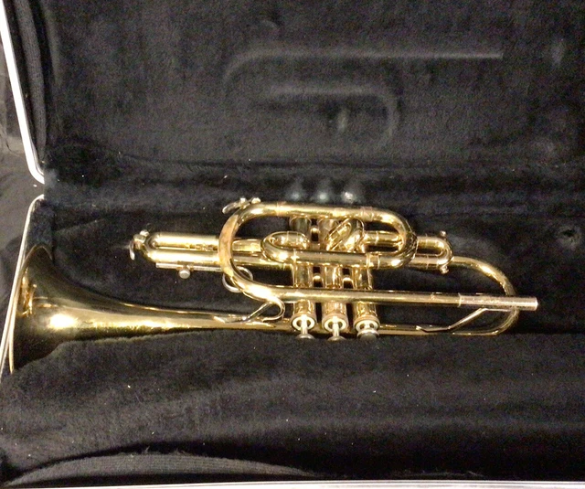 Bundy Cornet Serial 796978