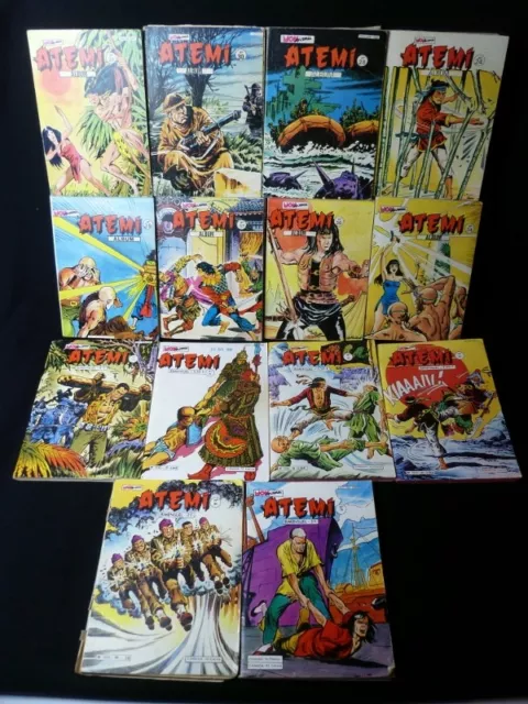 Atemi (14 volumes)