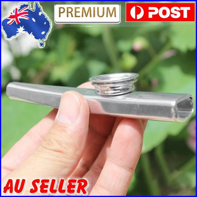 Metal Kazoos Musical Woodwind Instrument Mouth Flutes for Beginner (Silver)