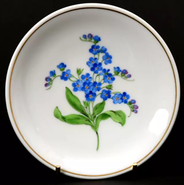 Meissen Wand Teller Bunte Blume 1 Goldrand 1.Wahl Vergissmeinnicht 35/36