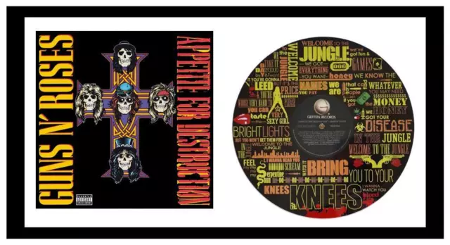 GUNS N' ROSES - MEMORABILIA - VINYL RECORD LYRIC ART & COVER - Limited Edition