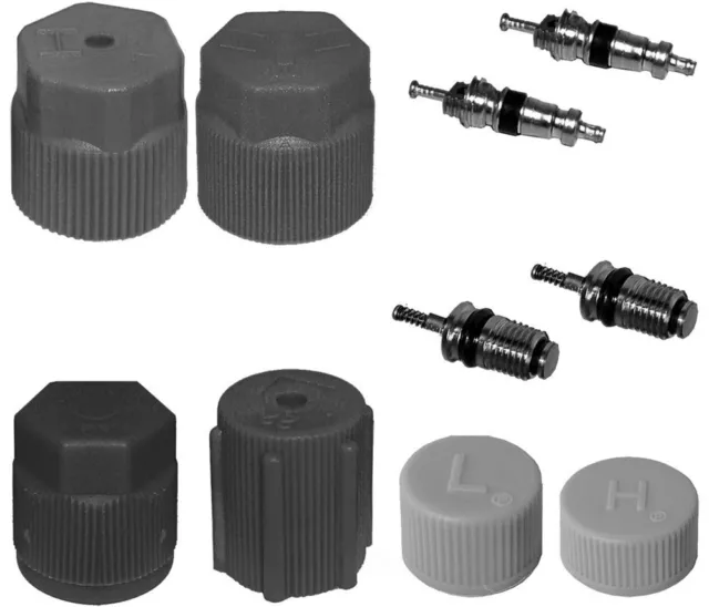 A/C System Valve Core and Cap Kit-MT2909