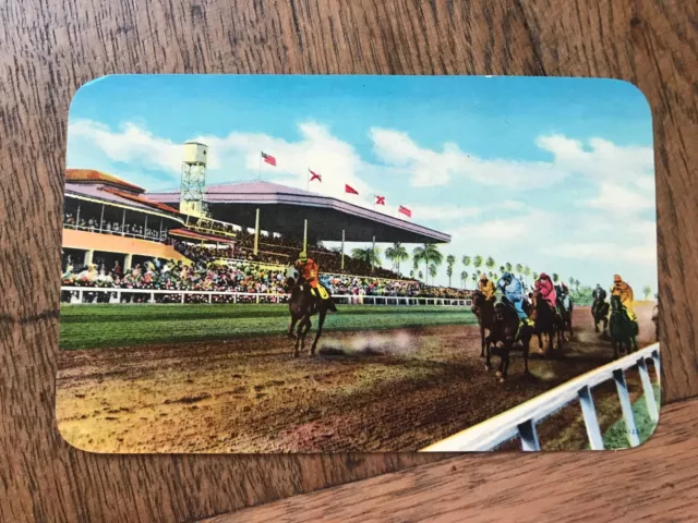 Winter Racing at Tropical Park Coral Gables Florida Postcard