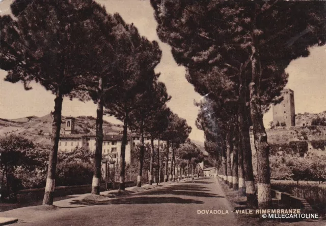 # Dovadola: Viale Rimembranze  1953