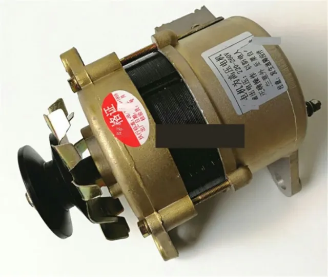 Generador 800W imán permanente voltaje constante casa cobre puro 220v