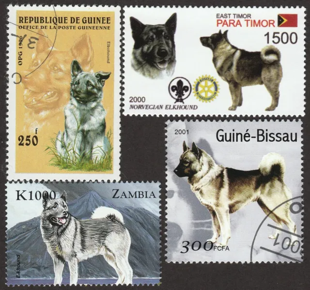NORWEGIAN ELKHOUND ** Int'l Postage Stamp  Art Collection ** Great Gift Idea **