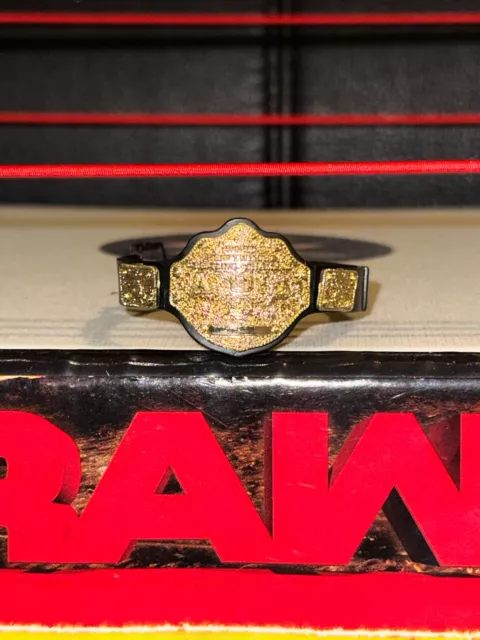 WWE WCW JAKKS World Heavyweight Championship Belt Wrestling COMBINED P&P
