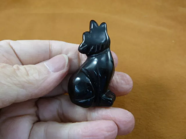 Y-COY-SI-570) Black Onyx COYOTE pup gemstone crafted FIGURINE baby gem COYOTES