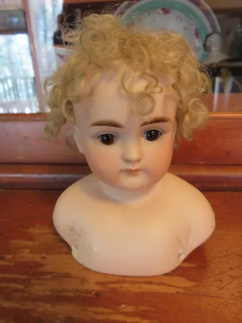Antique German Bisque Doll Head Solid Dome