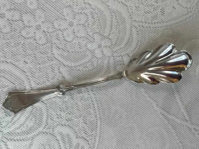 Antique Empress Spoon Derby Silver Co. Sugar Shell Jelly Spoon 8” Scalloped