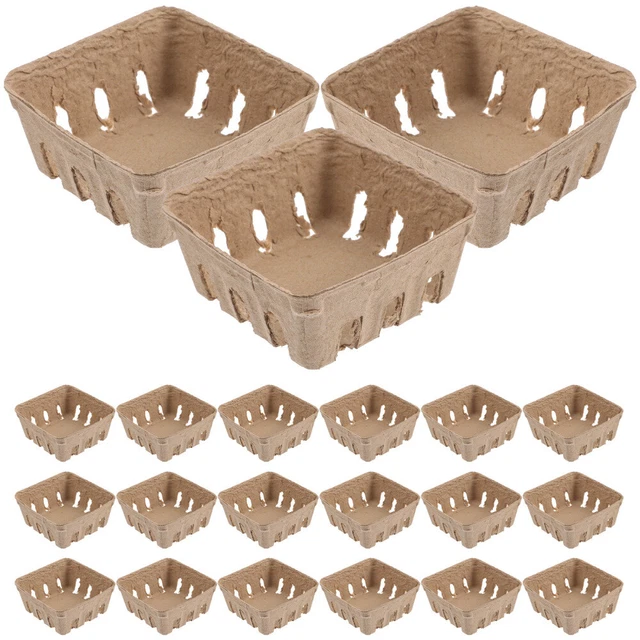 50 Pcs Food Storage Basket Square Serving Tray Fruit Container