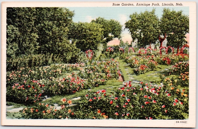 Lincoln Nebraska Rose Garden Flowers Antelope Park USA NE Vintage Postcard Linen