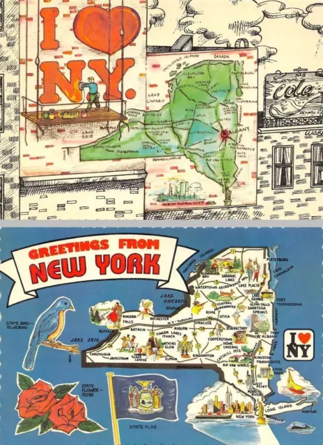 2~4X6 Postcards NY New York  ART MAP CARDS  Roadside Attractions~Flower~Bird