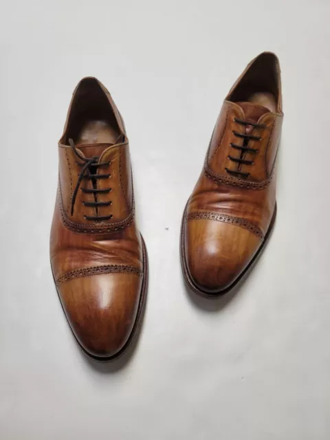 MAGNANNI Size 14 Brown Leather Cap Toe Lace-Up Oxford Men's Shoes Hand Painted