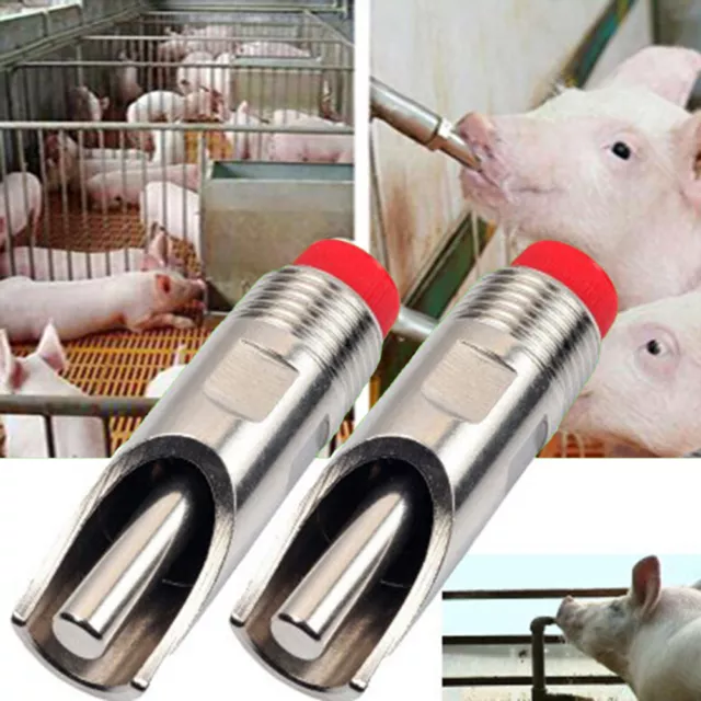 Riego de acero inoxidable para ganado cerdo porcino pezones agua bebidaLA'Z8