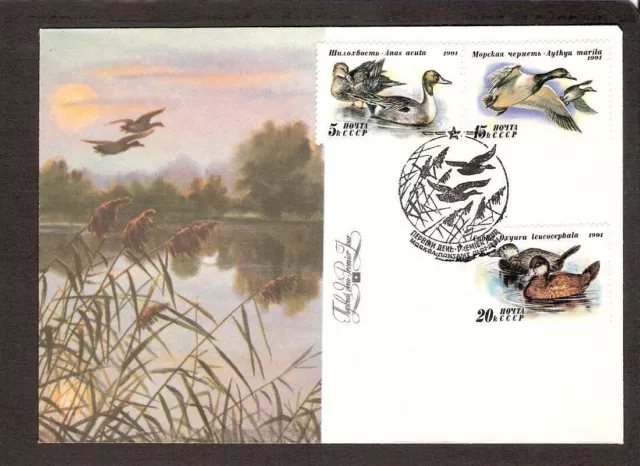 Birds Ducks 1991 USSR 3 stamps FDC Mi 6210-2