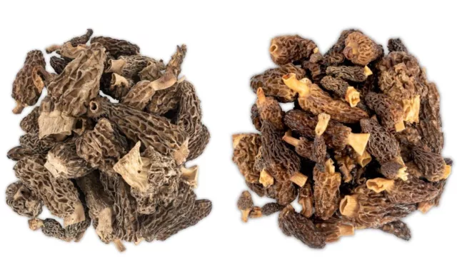 Dried Morel Mushrooms, Wild Morchellas 3