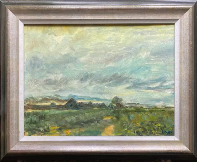 Oil Painting Sign.king '89 Wiesenlandschaft With Cloud Panorama