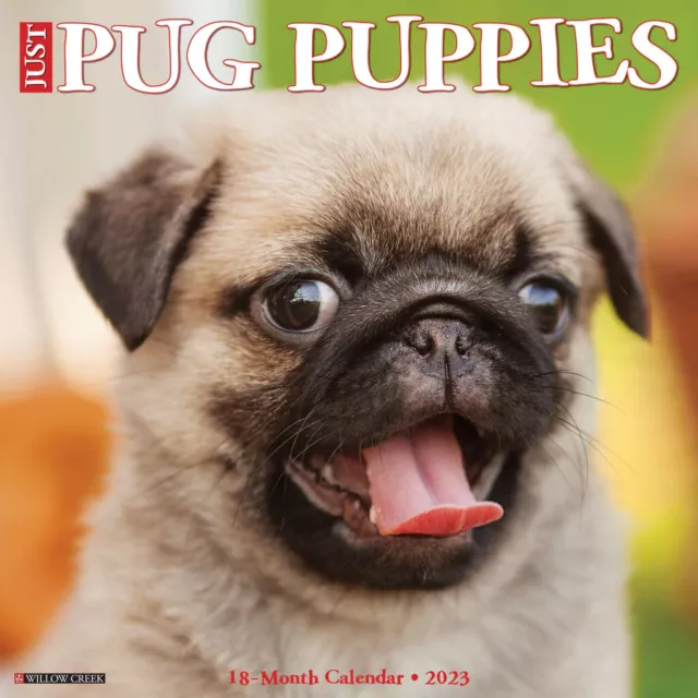 Willow Creek Just Pug Puppies 2023 12" x 12" Wall Calendar w