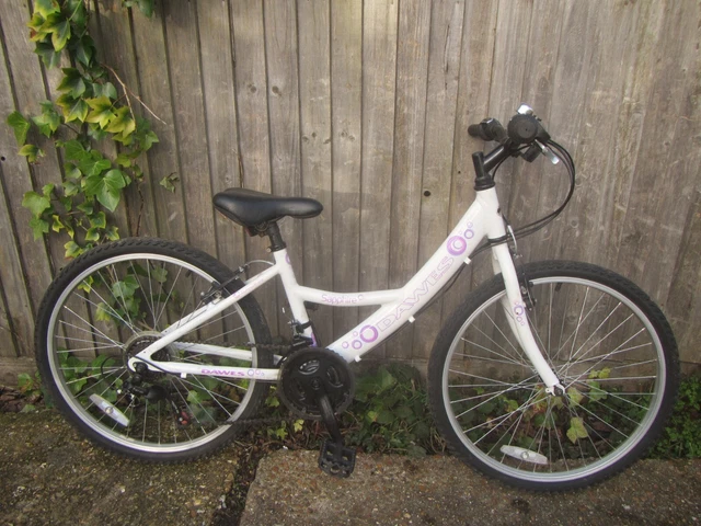 Dawes sapphire 2025 24 inch bike