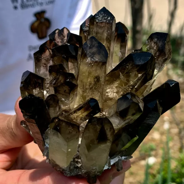 New Find black Phantom Quartz Crystal Cluster Mineral Specimen Healing