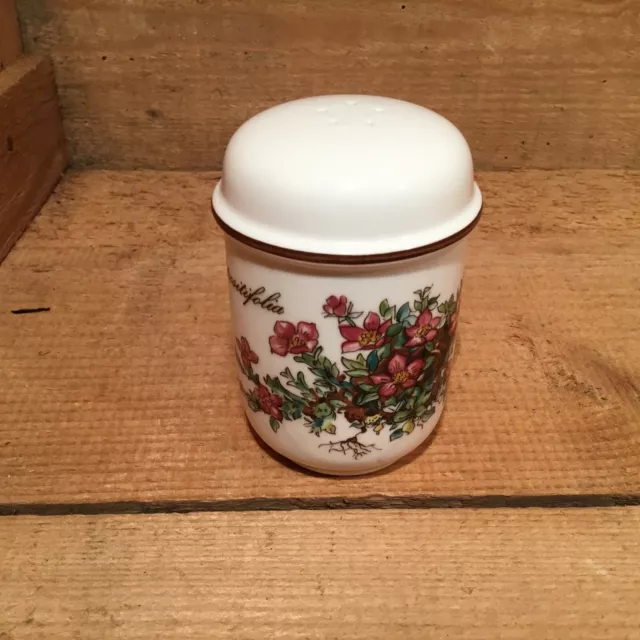 Villeroy & Boch, Salzstreuer, Streuer, Porzellan, Botanica, Vintage