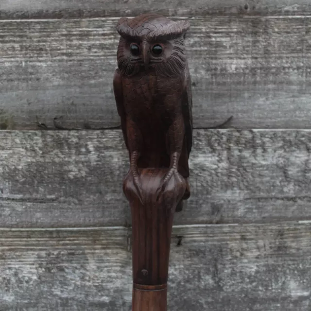 Owl Head Handle Walking Cane Stick Hand Carved Wooden Walking Stick X_Mass GFT B