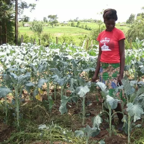 $100 Charitable Donation For: Seed and fertilizer for a family of 6