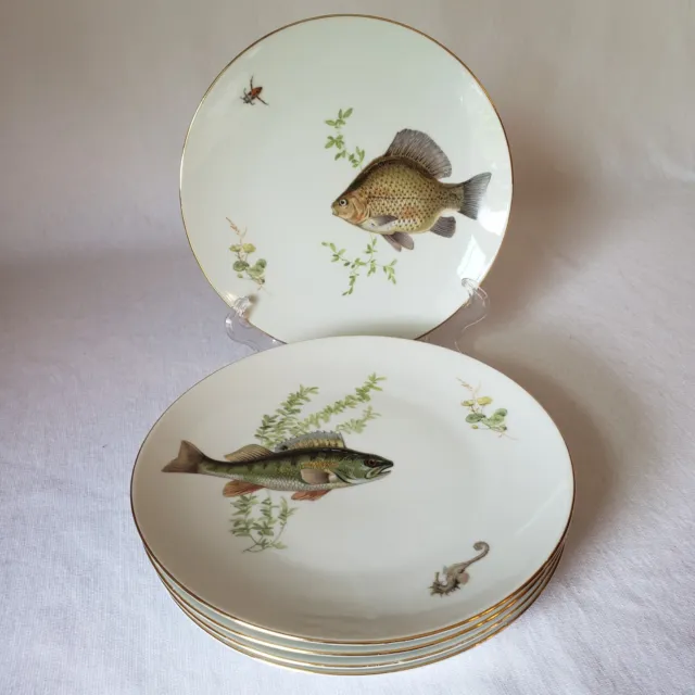 Bareuther Waldsassen Fish Plates Bavaria Germany Vintage Discontinued 7.75" - 5