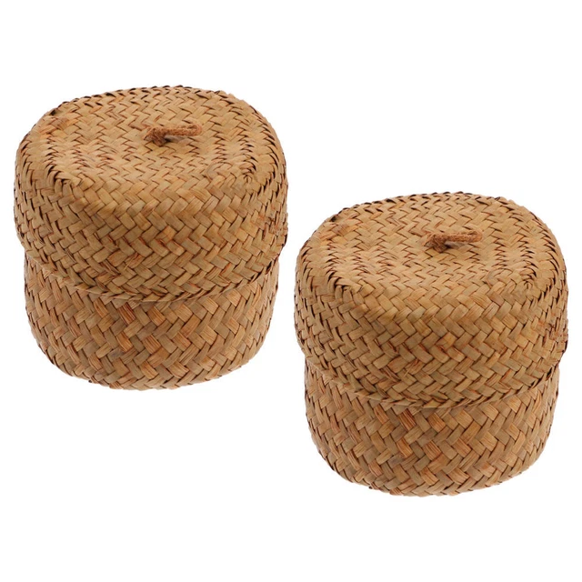 2 Pcs Bac De Rangement Bac À Fleurs Pots De Plantes Mini-pots De Fleurs Poubelle