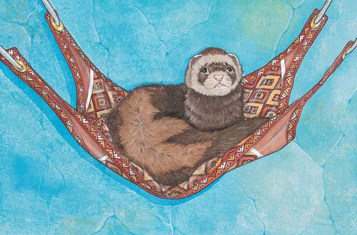 Ferret Birthday Card 5 x 7 with Envelope