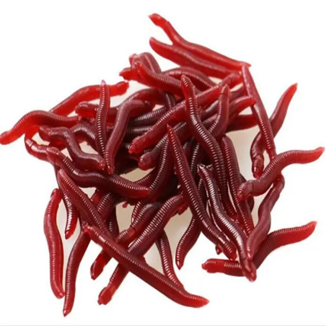 https://www.picclickimg.com/RG0AAOSwTsdmD67r/100Pcs-Red-Worms-Fishing-Worm-Lure-Bait.webp