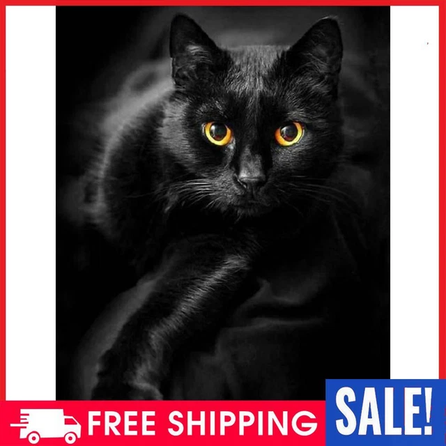 5D Diamond Painting Kit DIY black cat Full Round Drill Mosaic(HJ499)