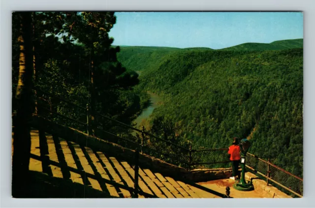 Leonard Harrison State Park PA- Pennsylvania GrCanyon Aerial Vintage Postcard