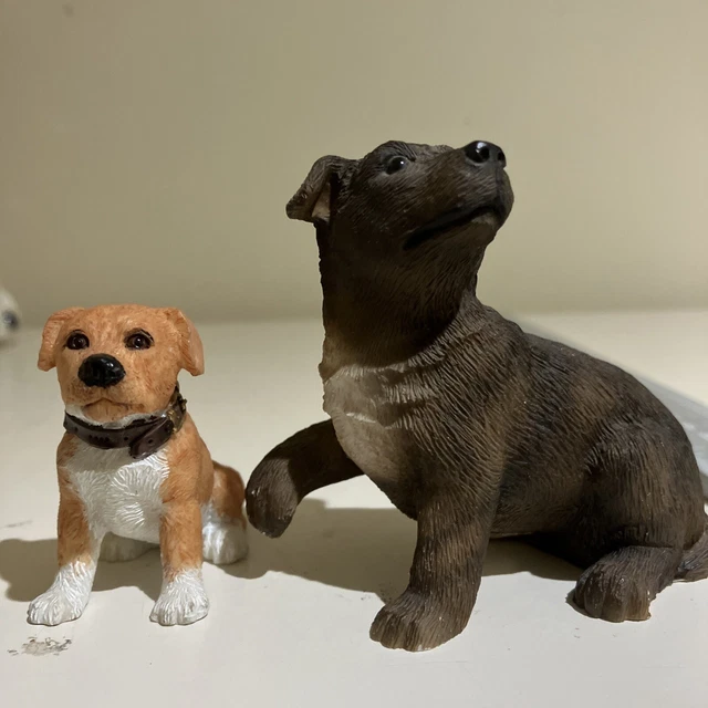 Staffordshire Bull Terrier Puppies