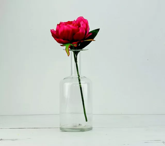 Clear Glass Single Stem Bottle Vase - Bistro, Garden, Flowers - H25cm