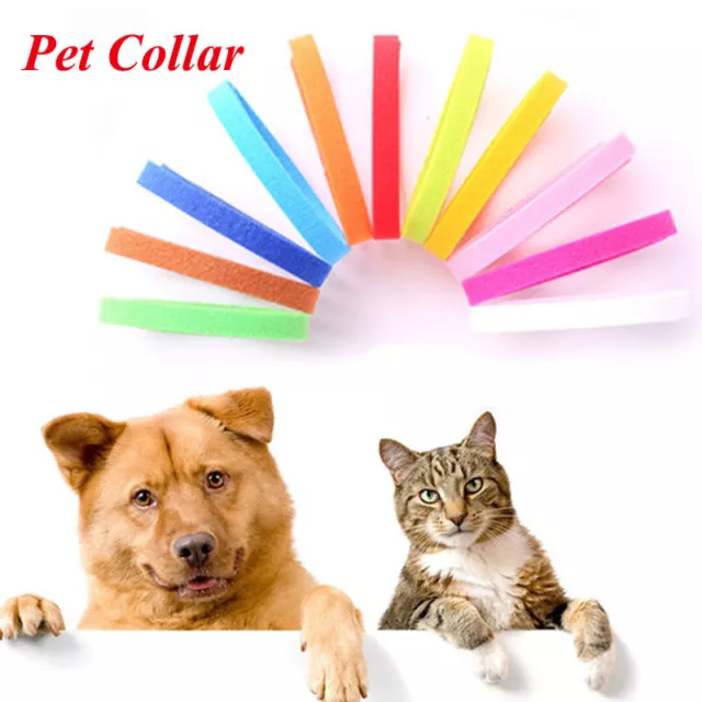 12PCS Identificación Collar Bandas de Perro Cadena Polar Mascota Suministro <