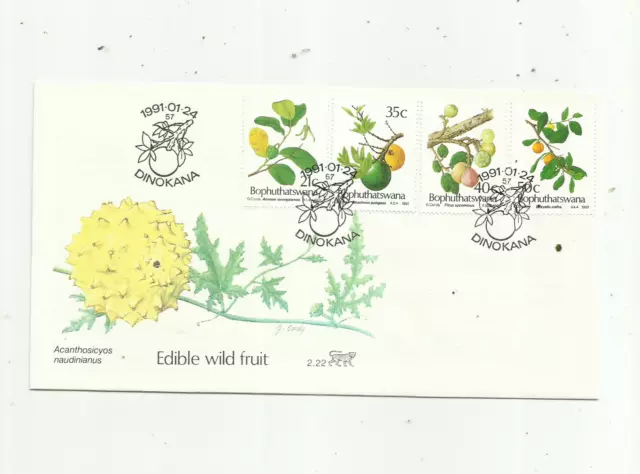 Bophuthatswana. 24/1/1991. Fruta silvestre comestible. Cubierta para primer día