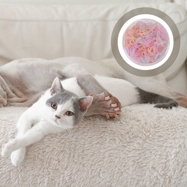 1 caja bandas elásticas gato perro pelo corbatas mascota tocados para decoración