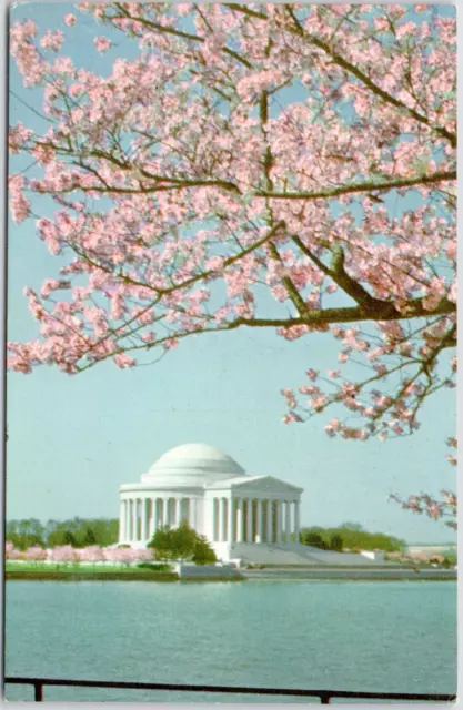 Jefferson Memorial Washington DC Temple Cherry Blossom Tree USA Vintage Postcard