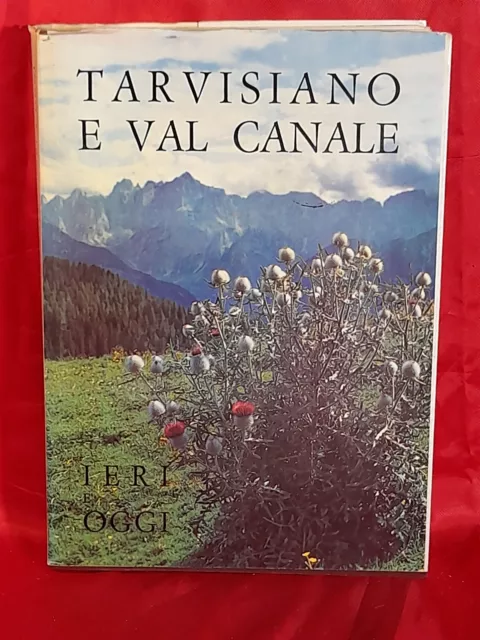 TARVISIANO E VAL CANALE ieri e oggi - 1971 Ente nazionale per le tre Venezie