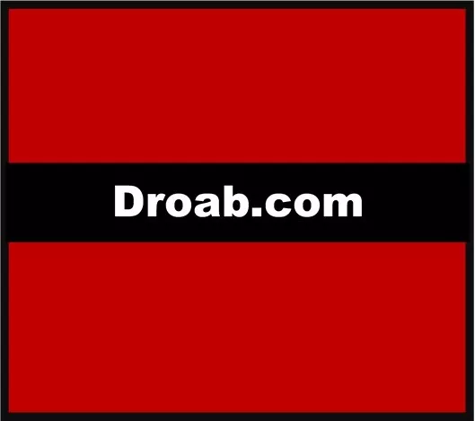 Droab.com - Premium Domain Name - BRANDABLE Business Blog Website 5 Letter lllll