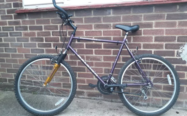 Raleigh activator mountain bike outlet