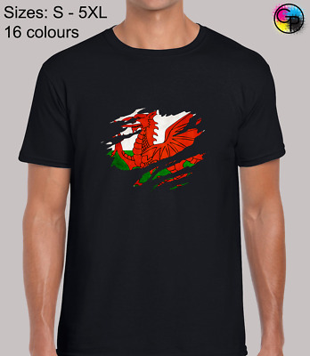 Welsh Flag Slash Novelty Wales Rugby Regular Fit T-Shirt Top TShirt Tee for Men