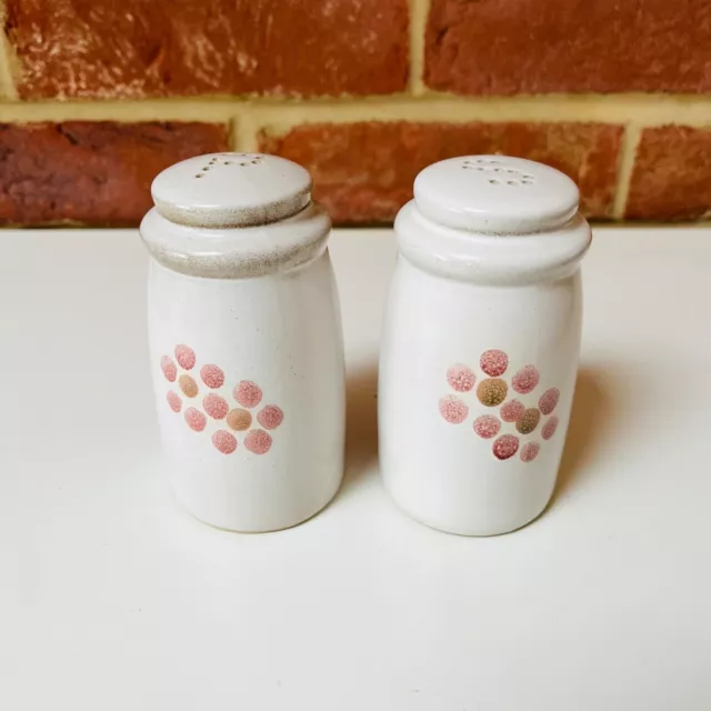 Vintage Denby Gypsy Cruet Set Salt and Pepper. Excellent Condition. 1970s