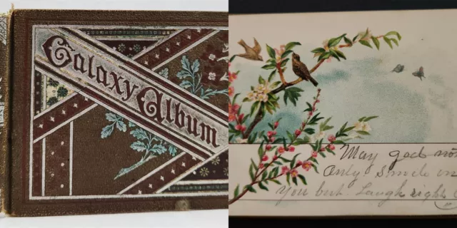 1883 antique AUTOGRAPH ALBUM little oaks va MOLLIE B TUCK litho art genealogy