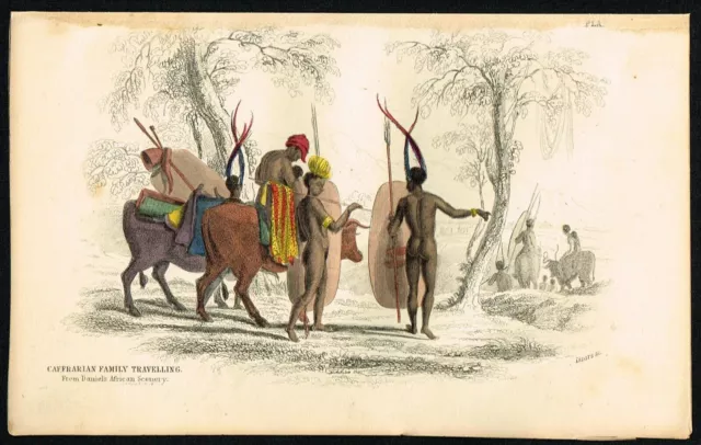 Familia Caffrarian (S.África) viajando con su ganado, HC Impresión antigua...