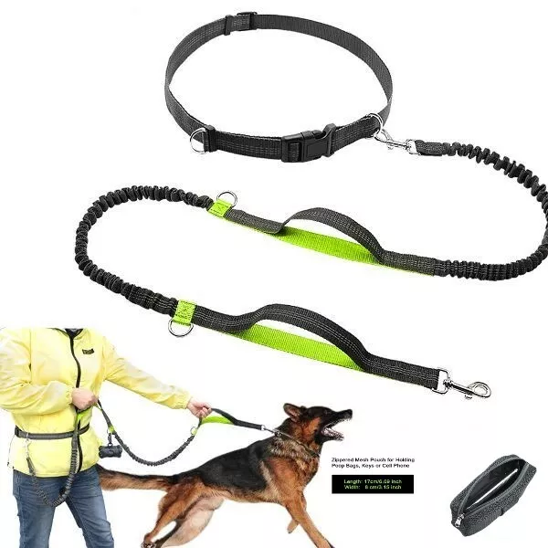 Hands Free Running Dog Lead / Dual-Handle Dog Leash Bungee Reflective with Pouch