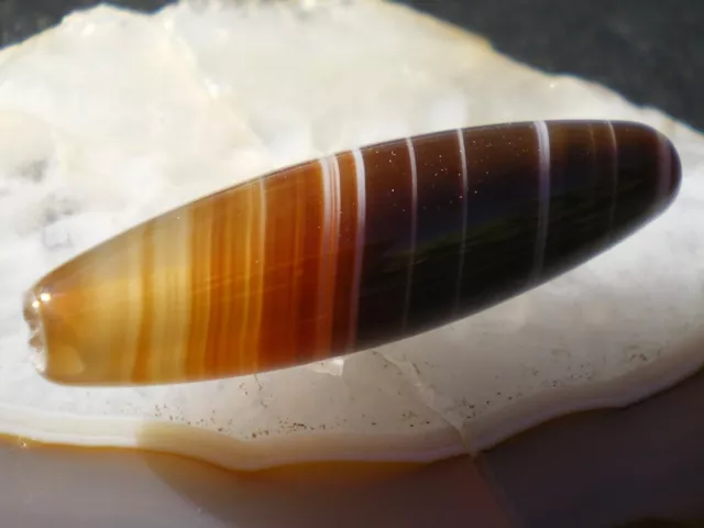 Fine  Perle d'Agate Bandée DZi  SPECIMEN  14 cts   (Pakistan)