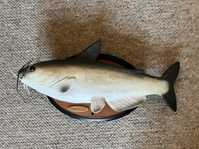 Poisson Chantant Gemmy Talking Cool Catfish - Bad To The Bone - Hystérique